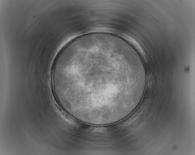 X0000094371043200711301444