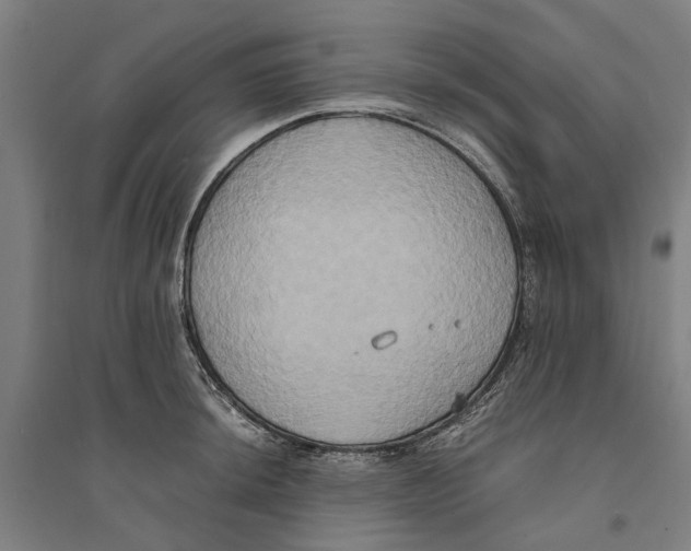 X0000094371044200711301444