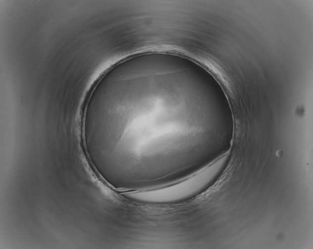 X0000094371046200711301444