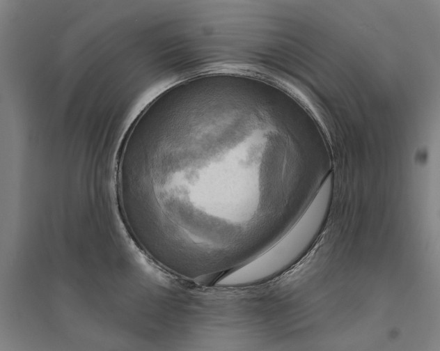 X0000094371050200711301444