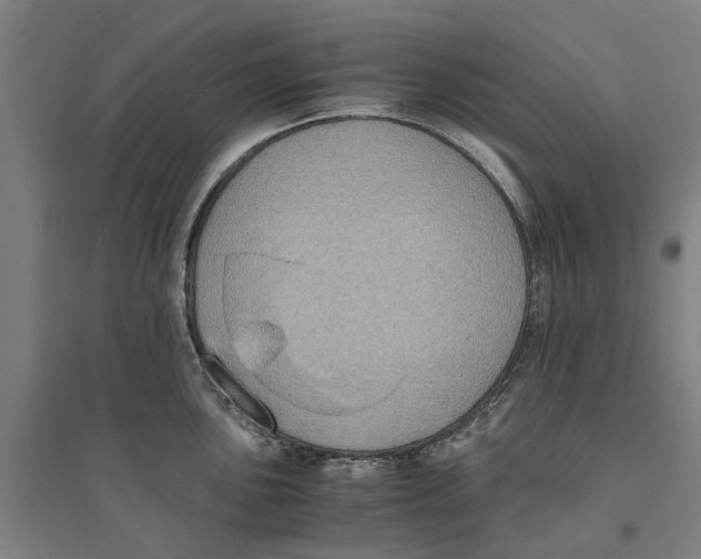 X0000094371051200711301444