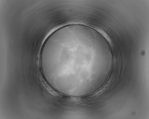 X0000094371052200711301444