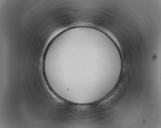 X0000094371053200711301444