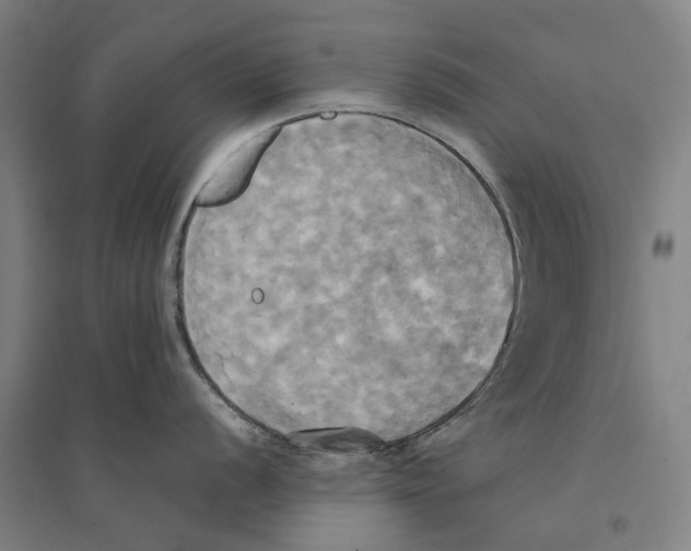 X0000094371056200711301444