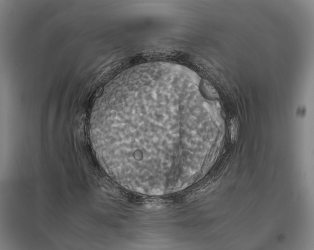 X0000094371059200711301443