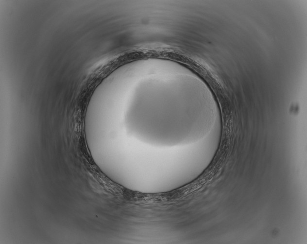 X0000094371063200711301443