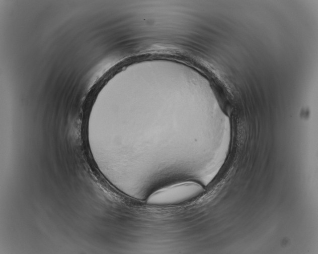 X0000094371066200711301443