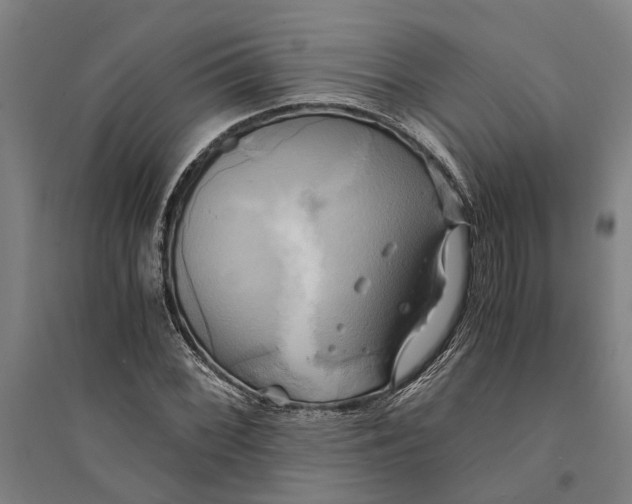 X0000094371068200711301443