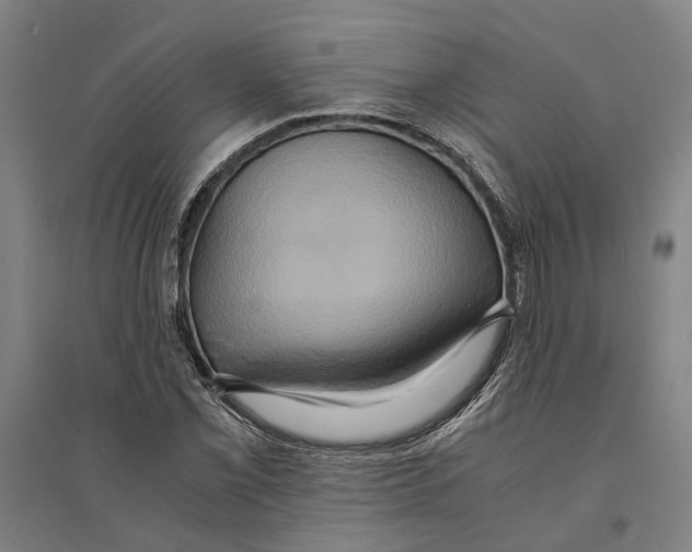 X0000094371069200711301443