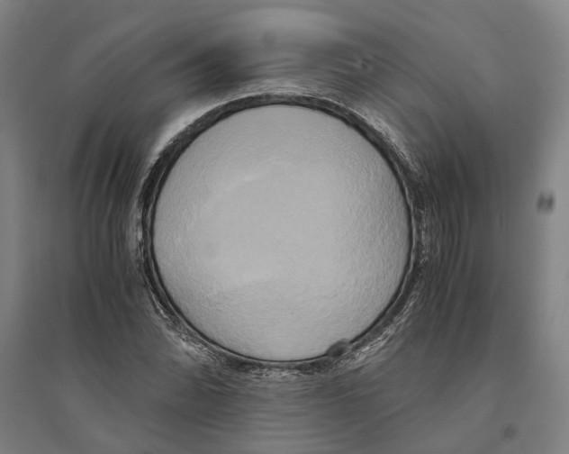 X0000094371070200711301443