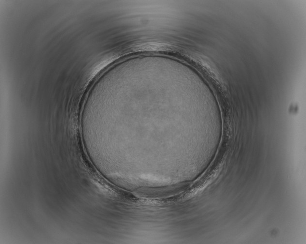 X0000094371073200711301443