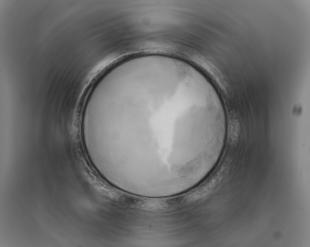 X0000094371074200711301443