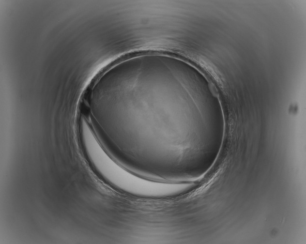 X0000094371077200711301443