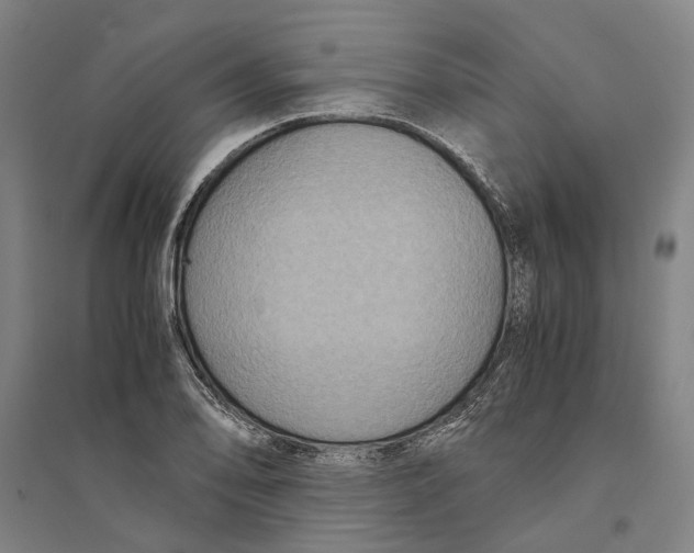 X0000094371078200711301443