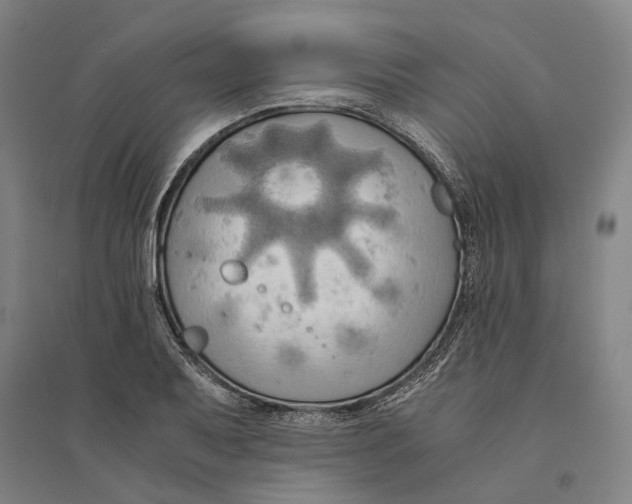 X0000094371079200711301443