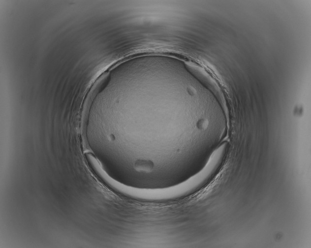 X0000094371081200711301443