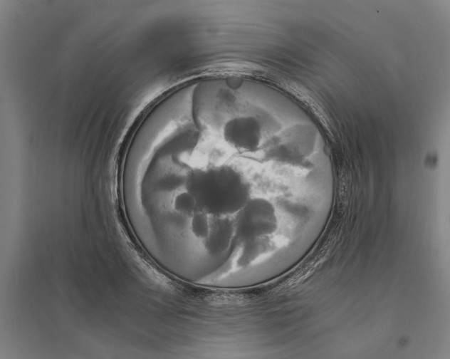 X0000094371083200711301443