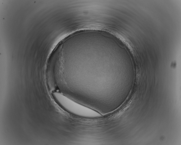 X0000094371085200711301443