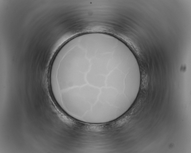 X0000094371086200711301443