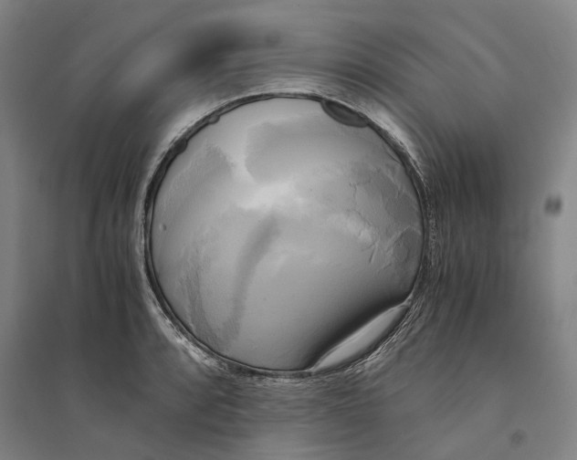 X0000094371088200711301443