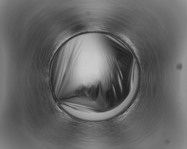 X0000094371089200711301443