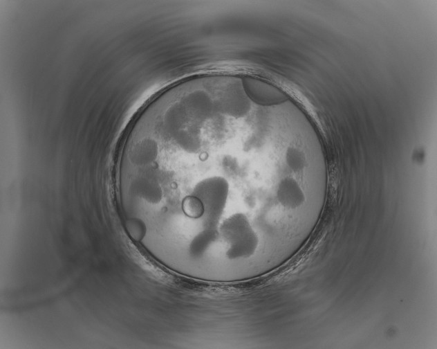 X0000094371091200711301443