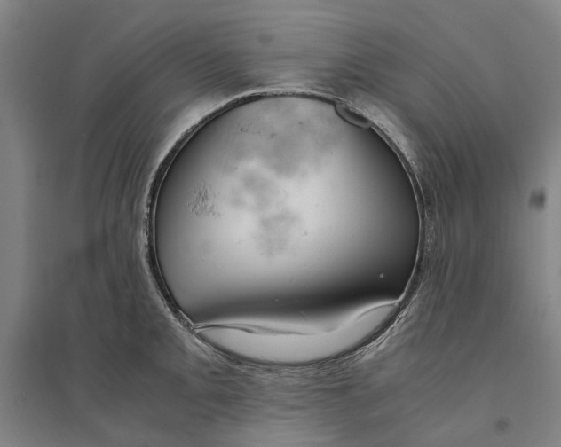 X0000094371093200711301442