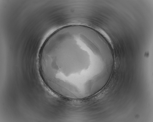 X0000094371096200711301442