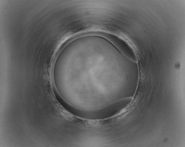 X0000094371097200711301442