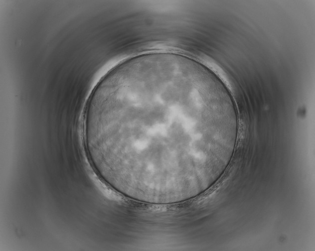 X0000094371098200711301442