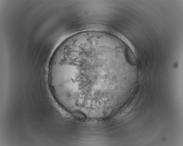 X0000094371099200711301442