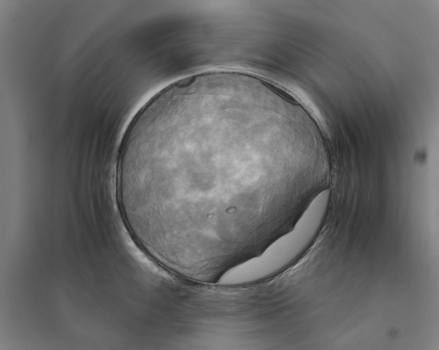 X0000094371100200711301442