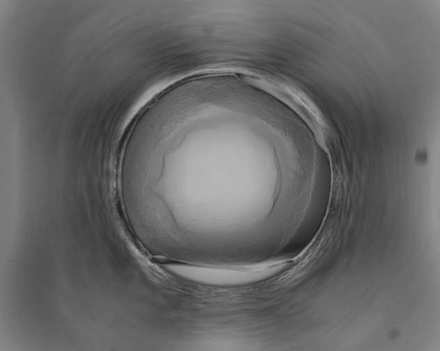 X0000094371101200711301442