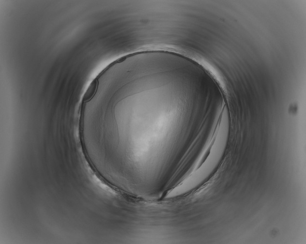 X0000094371102200711301442