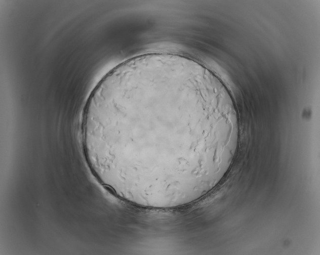 X0000094371103200711301442