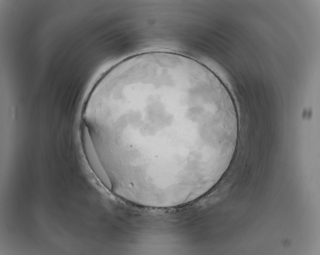 X0000094371104200711301442