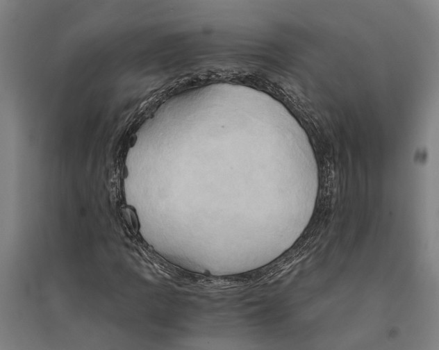 X0000094371109200711301442