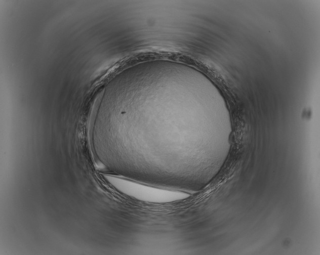 X0000094371110200711301442