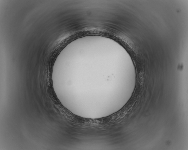 X0000094371111200711301442