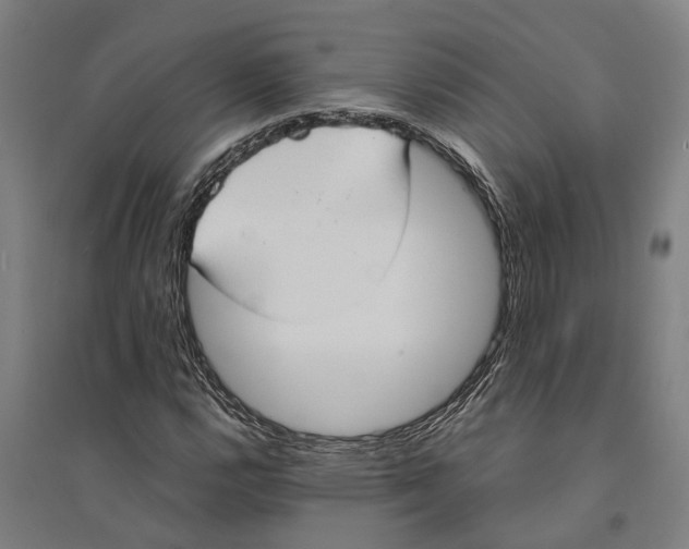 X0000094371112200711301442