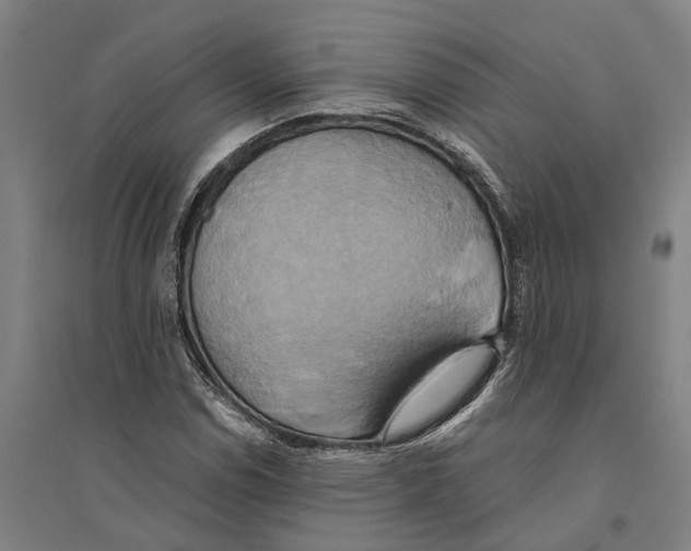 X0000094371114200711301442