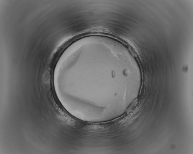 X0000094371115200711301442