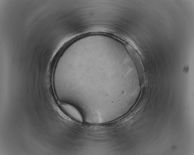 X0000094371116200711301442