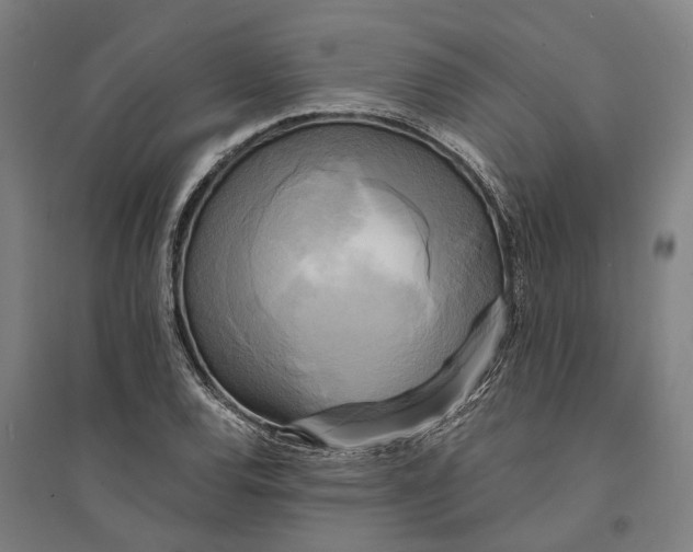 X0000094371120200711301442