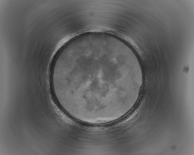 X0000094371122200711301442