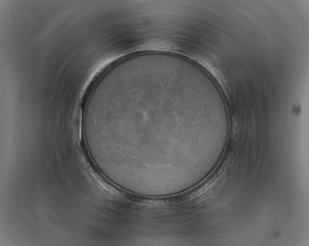 X0000094371123200711301442