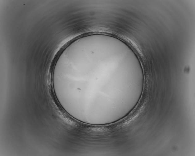 X0000094371125200711301442