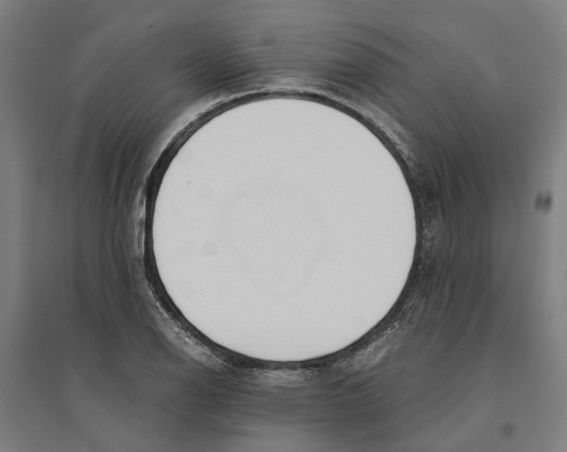 X0000094371126200711301442