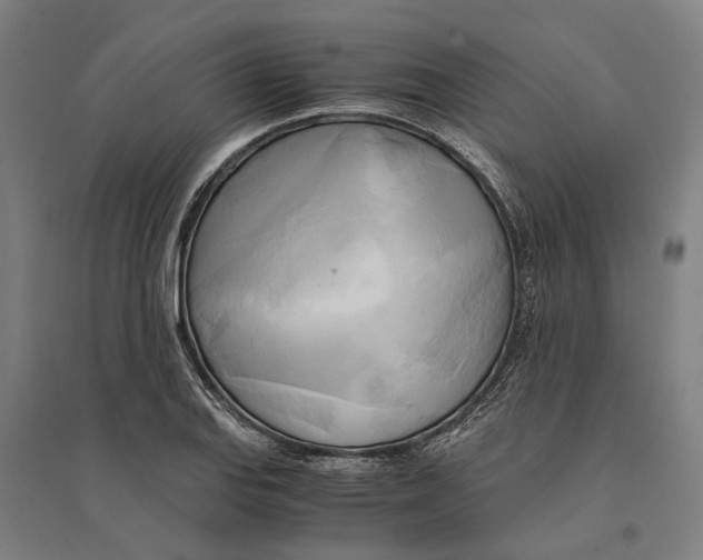 X0000094371127200711301442