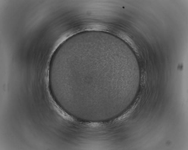 X0000094371130200711301442